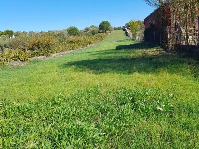 Terreno à venda em Torres Novas
