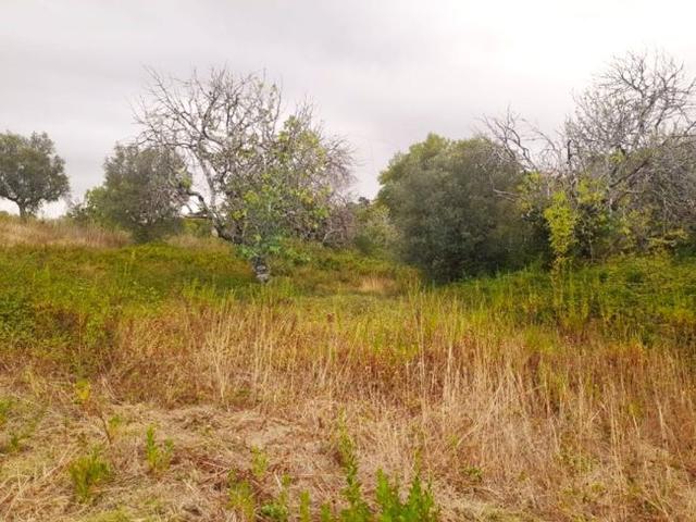 Terreno à venda em Torres Novas