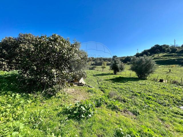 Terreno à venda em Torres Novas