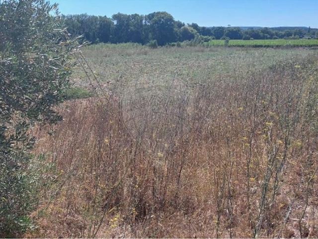 Terreno à venda em Torres Novas