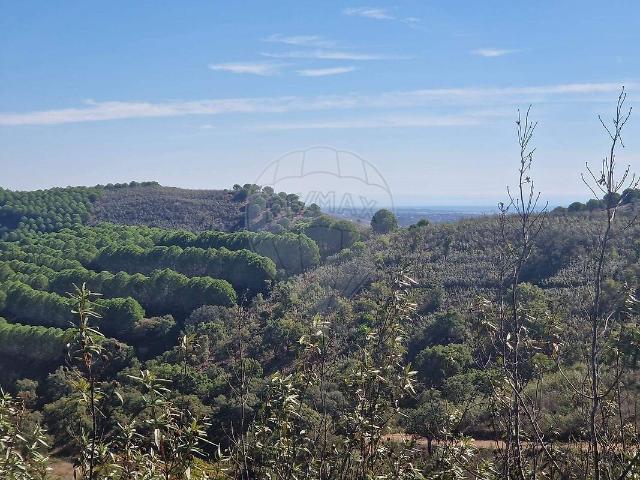 Terreno à venda em Tavira Santa Maria e Santiago, Tavira RE/MAX Portugal