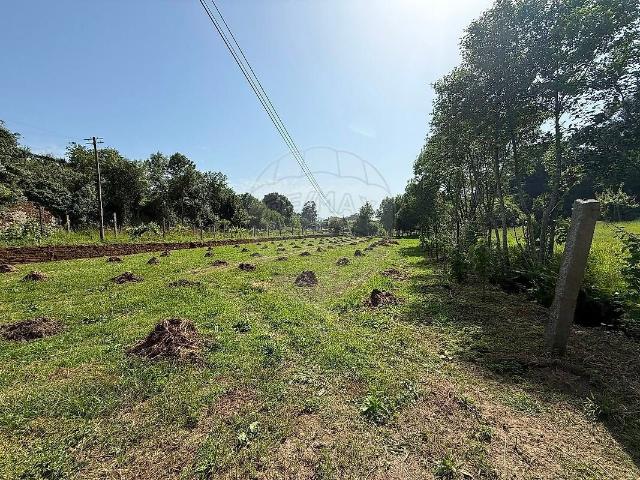 Terreno à venda em Távora Santa Maria e São Vicente, Arcos de Valdevez RE/MAX Portugal