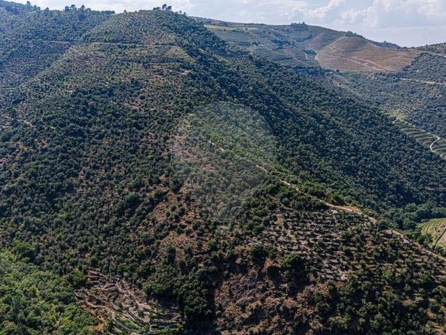 Terreno à venda em Tabuaço