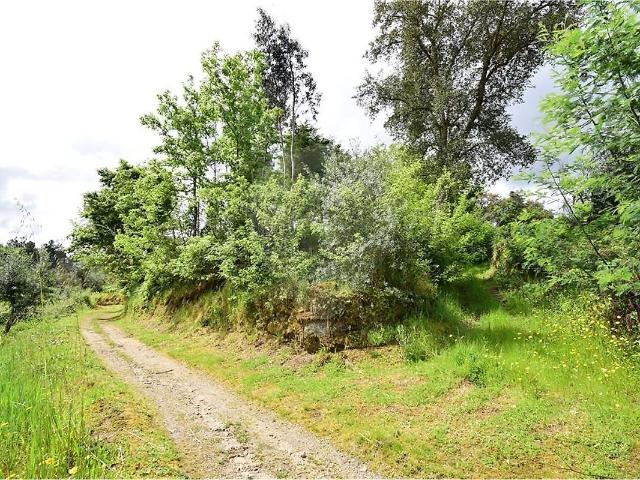 Terreno à venda em Tábua, Tábua RE/MAX Portugal