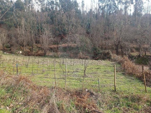 Terreno à venda em Tabuado, Marco de Canaveses RE/MAX Portugal