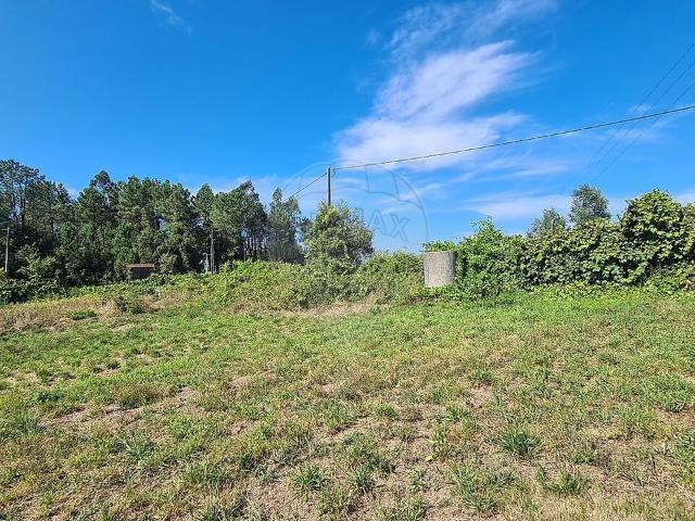 Terreno à venda em Talhadas, Sever do Vouga RE/MAX Portugal