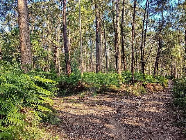 Terreno à venda em Tamel Santa Leocádia e Vilar do Monte, Barcelos RE/MAX Portugal