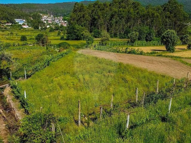 Terreno à venda em Tamel Santa Leocádia e Vilar do Monte, Barcelos RE/MAX Portugal