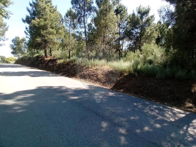 Terreno à venda em Tarouca