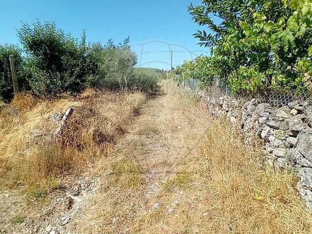 Terreno à venda em Tarouca