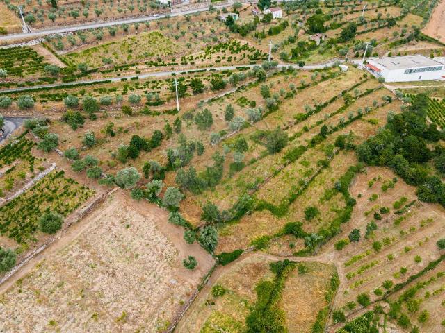 Terreno à venda em Tarouca