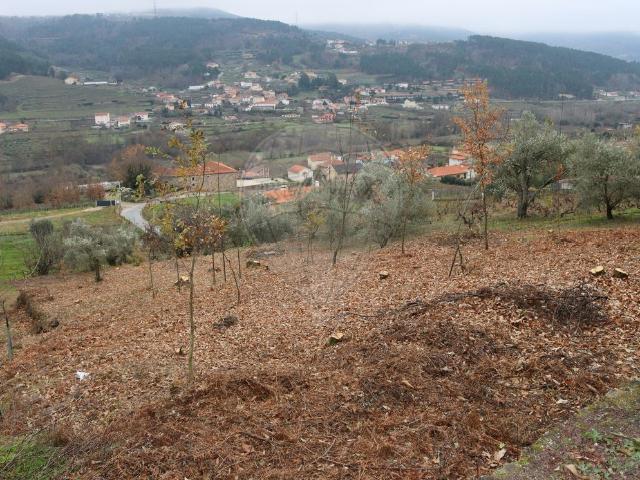 Terreno à venda em Tarouca