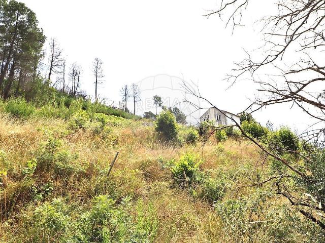 Terreno à venda em Teixoso e Sarzedo, Covilhã RE/MAX Portugal