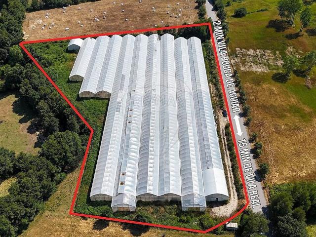 Terreno à venda em Telões, Vila Pouca de Aguiar RE/MAX Portugal