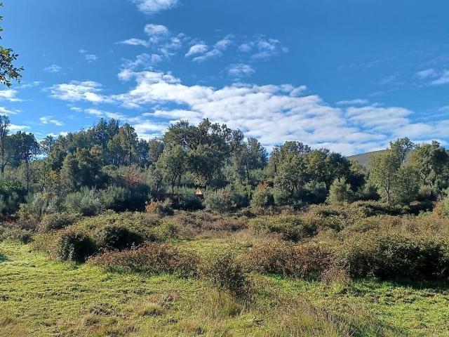 Terreno à venda em Telhado, Fundão RE/MAX Portugal