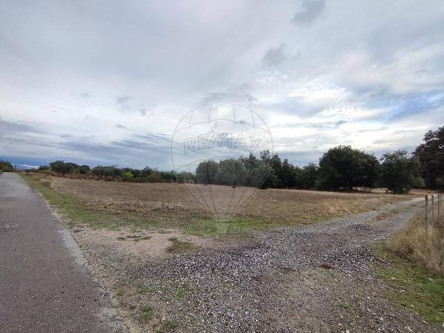 Terreno à venda em Telhado, Fundão RE/MAX Portugal