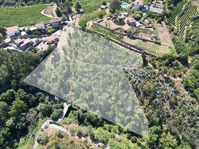 Terreno à venda em Termas de São Vicente, Penafiel RE/MAX Portugal