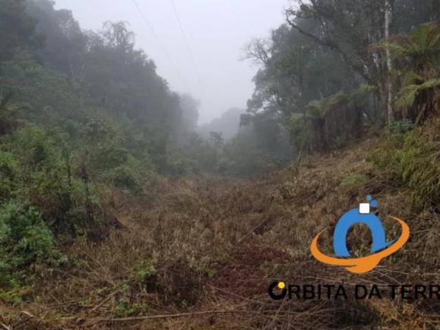Terreno à venda em Tijucas do Sul PR, bairro Matulão, com 50.000m² de área! A oportunidade que você