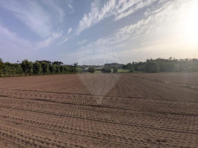 Terreno à venda em Travanca, Amarante RE/MAX Portugal
