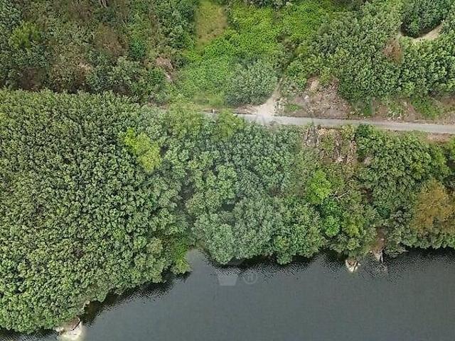 Terreno à venda em Treixedo e Nagozela, Santa Comba Dão RE/MAX Portugal
