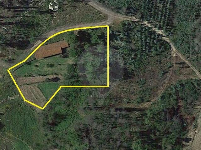 Terreno à venda em Treixedo e Nagozela, Santa Comba Dão RE/MAX Portugal