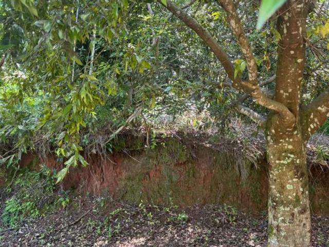 Terreno à venda em Três Coroas RS, no bairro Figueiras, com 787,50 m² de área! Aproveite essa oportu