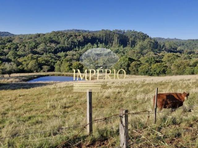 Terreno à venda em Três Coroas RS, no bairro Rodeio Bonito, com 3,50 hectares de área!