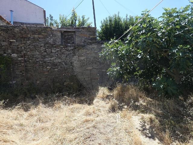 Terreno à venda em Trevões e Espinhosa, São João da Pesqueira RE/MAX Portugal