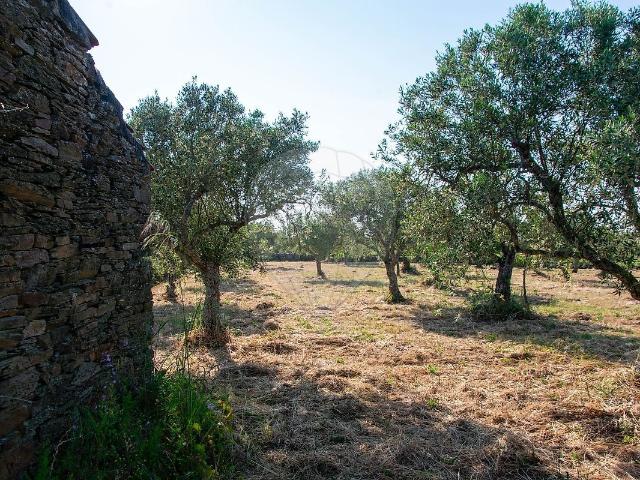 Terreno à venda em Trevões e Espinhosa, São João da Pesqueira RE/MAX Portugal