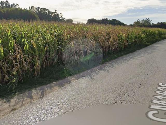 Terreno à venda em Trofa, Segadães e Lamas do Vouga, Águeda RE/MAX Portugal
