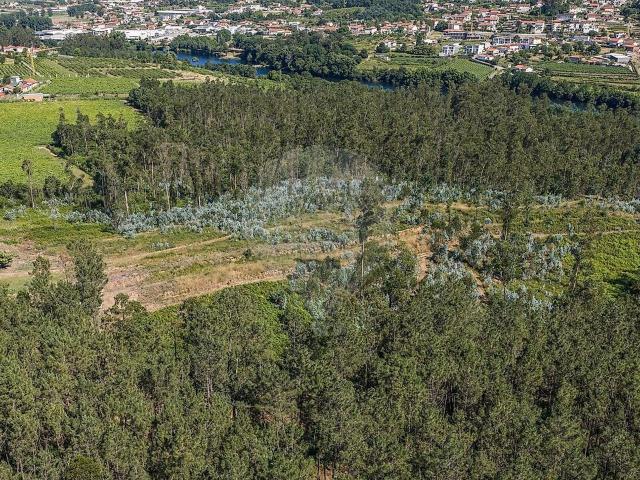 Terreno à venda em Ucha, Barcelos RE/MAX Portugal