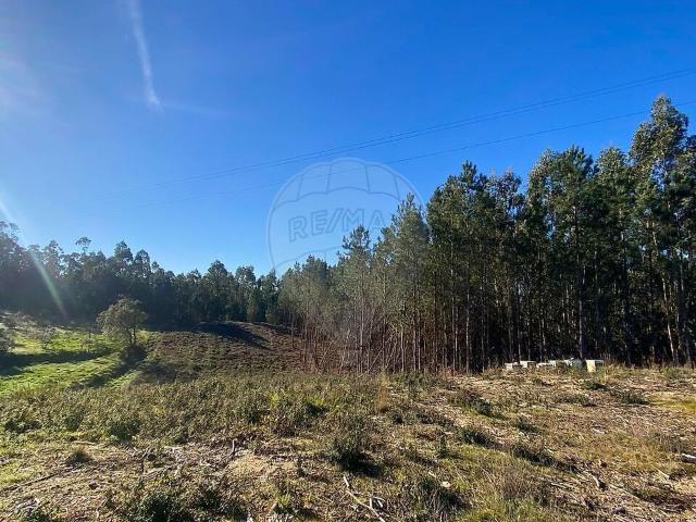 Terreno à venda em Urqueira, Ourém RE/MAX Portugal