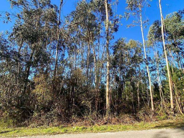 Terreno à venda em Urqueira, Ourém RE/MAX Portugal