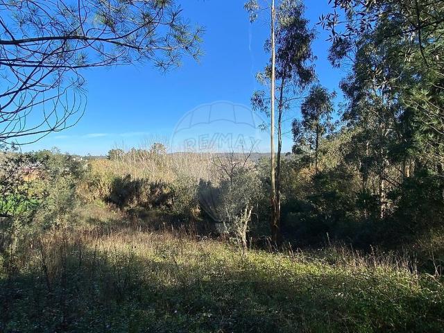 Terreno à venda em Urqueira, Ourém RE/MAX Portugal