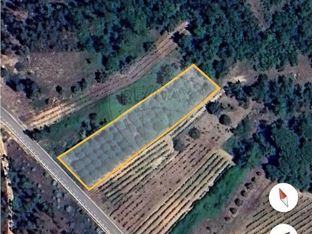 Terreno à venda em Vacariça, Mealhada RE/MAX Portugal
