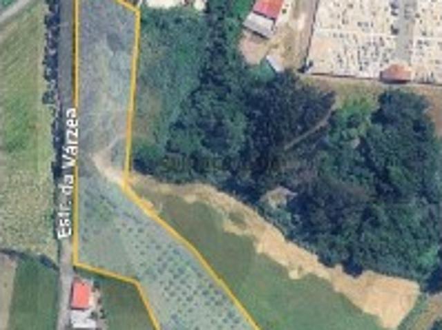 [EXCLUSIVO] Onde a Serenidade do Campo Encontra a Alma do Atlântico Nazaré