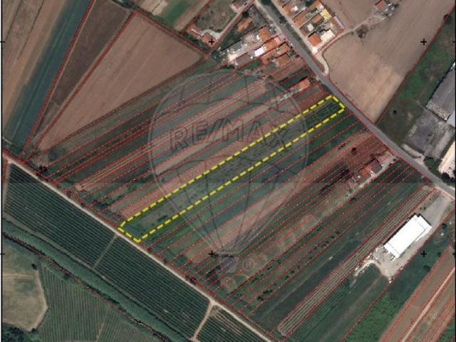 Terreno à venda em Valado dos Frades, Nazaré RE/MAX Portugal