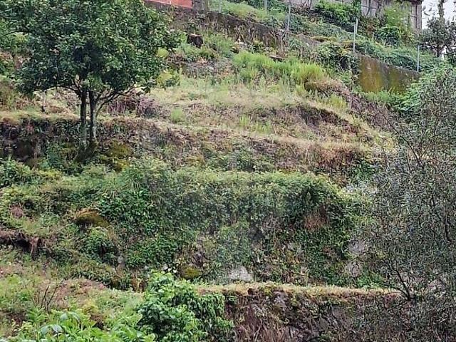 Terreno à venda em Valdosende, Terras de Bouro RE/MAX Portugal