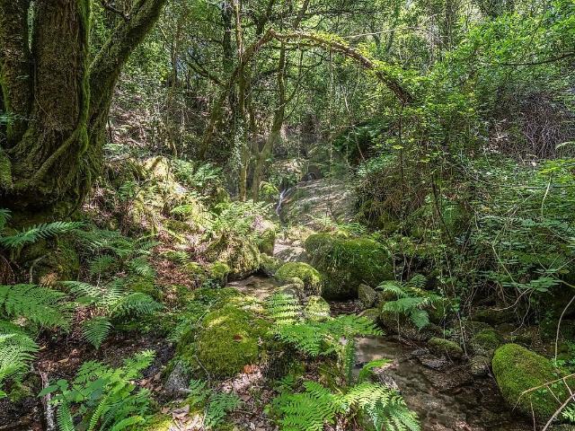 Terreno à venda em Valdreu, Vila Verde RE/MAX Portugal