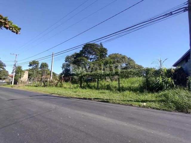 terreno à venda em Vale Verde