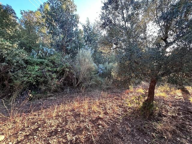 Terreno à venda em Vale da Senhora da Póvoa, Penamacor RE/MAX Portugal