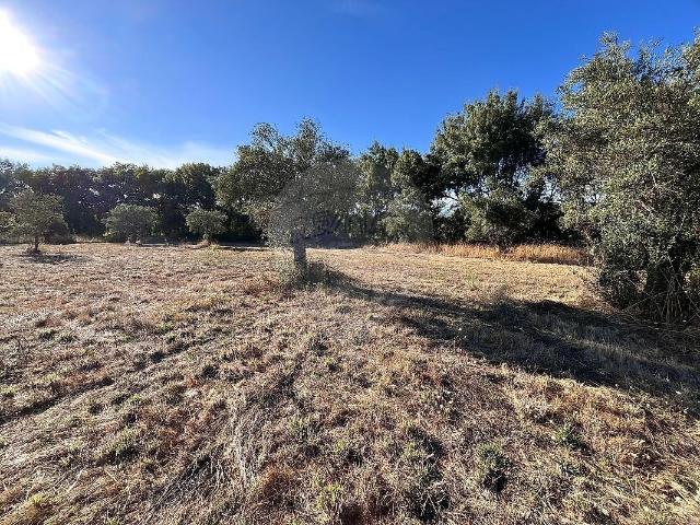 Terreno à venda em Vale da Senhora da Póvoa, Penamacor RE/MAX Portugal