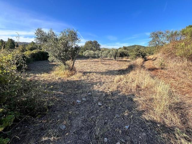 Terreno à venda em Vale da Senhora da Póvoa, Penamacor RE/MAX Portugal