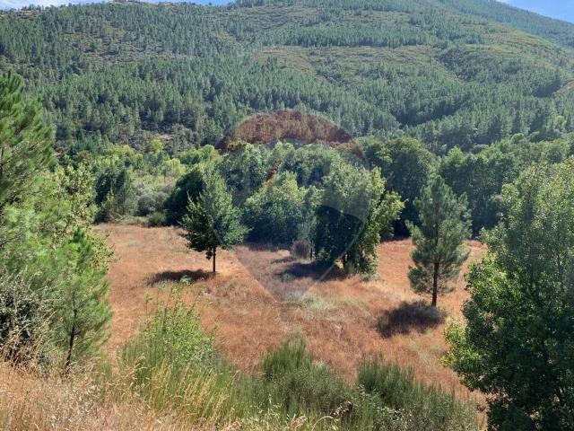 Terreno à venda em Vale de Amoreira, Manteigas RE/MAX Portugal