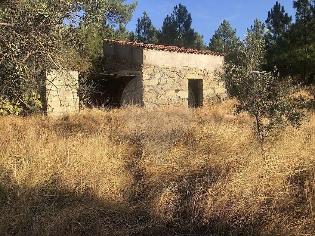 Terreno à venda em Vale de Azares, Celorico da Beira RE/MAX Portugal