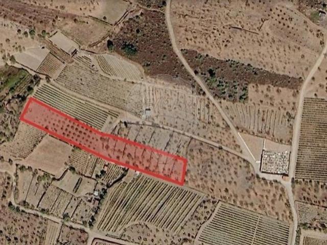 Terreno à venda em Vale de Figueira, São João da Pesqueira RE/MAX Portugal