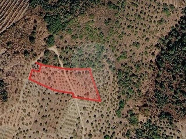 Terreno à venda em Vale de Figueira, São João da Pesqueira RE/MAX Portugal