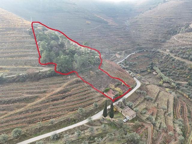 Terreno à venda em Vale de Mendiz, Casal de Loivos e Vilarinho de Cotas, Alijó RE/MAX Portugal