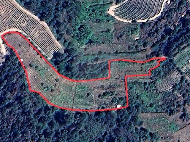 Terreno à venda em Vale de Mendiz, Casal de Loivos e Vilarinho de Cotas, Alijó RE/MAX Portugal