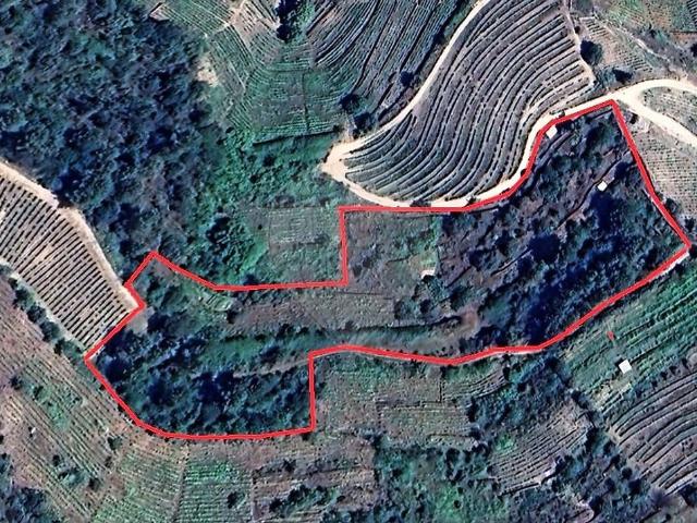 Terreno à venda em Vale de Mendiz, Casal de Loivos e Vilarinho de Cotas, Alijó RE/MAX Portugal